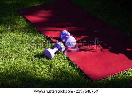 Sports mat and plastic dumbbell. Physical education in nature. Maintaining your body weight.