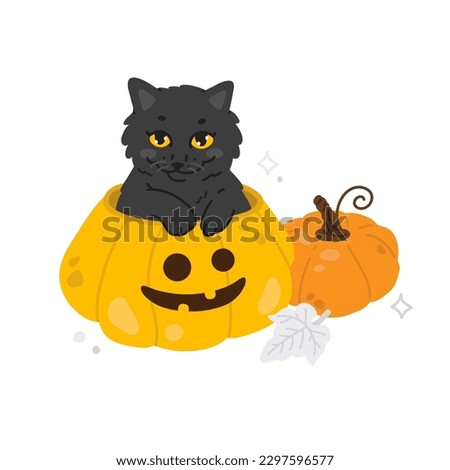 Vector illustration of cute cartoon black cat sits in a halloween pumpkin for digital stamp,greeting card,sticker,icon,Halloween design