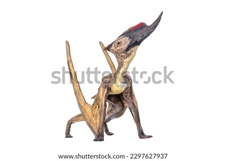 dinosaur , Dsungaripterus  isolated background  