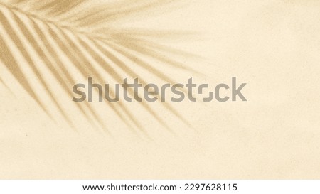Sandy beach with shadow of palm leaves. Travel and vacations concept background with space for your own text Royalty-Free Stock Photo #2297628115