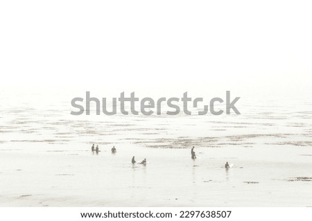 Surfers Out in Foggy Morning Ocean Reverse Silhouette Against White Sky