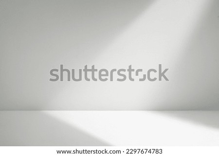 minimalist and clean shadow overlay