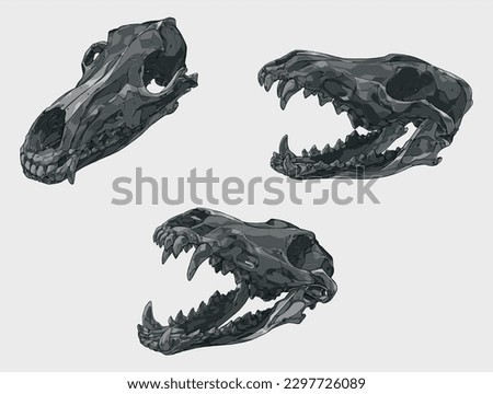 Wolf Skull Illustration Pack Stock Illustration -