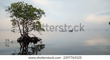 another tree on the ocean picture