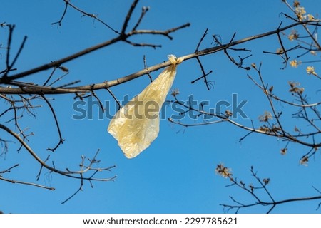 A plastic bag hangs on a tree branch. Environmental pollution. Blue sky and flowering trees Royalty-Free Stock Photo #2297785621