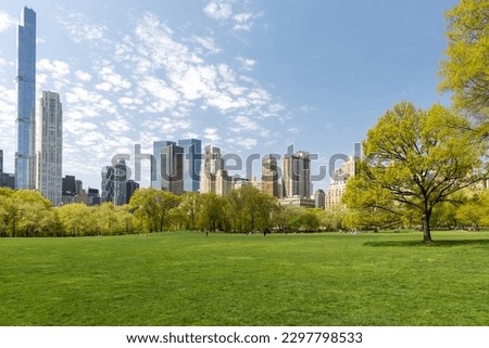 Manhattan skyscrapers and Central Park meadow Royalty-Free Stock Photo #2297798533