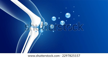 Vitamins minerals calcium zinc and magnesium absorbed into the bone cartilage. Healthy human skeleton anatomy isolated on blue background. Care bone knee joint. Realistic 3D vector. Royalty-Free Stock Photo #2297825157