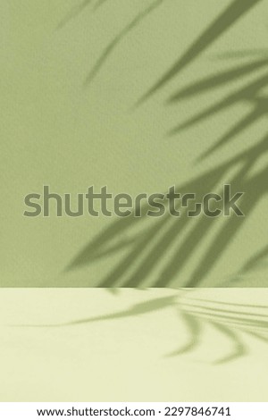 Minimal abstract background for the presentation of a cosmetic product. Empty premium podium with a shadow of tropical palm leaves on a green background. Showcase, display case.
