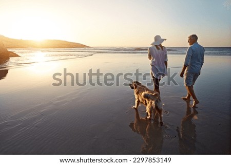 Making sure hes fit and healthy. a mature couple spending the day at the beach with their dog. Royalty-Free Stock Photo #2297853149