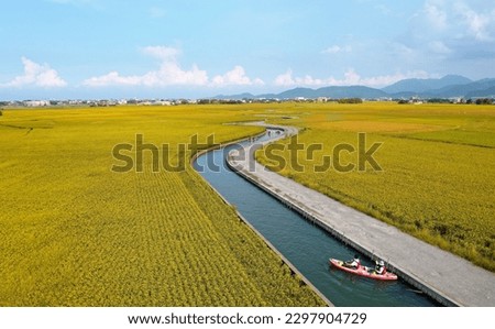 Aerial panorama of beautiful farmlands bathed in warm sunlight in the season of golden harvest and outdoor enthusiasts canoeing down the canal thru rice paddies on a sunny day, in Yilan (Ilan), Taiwan