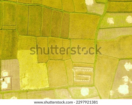 Aerial Photography. Top view or aerial shot of fresh green and yellow rice fields. Cikancung's Terrace field in the countryside of Bandung - Indonesia