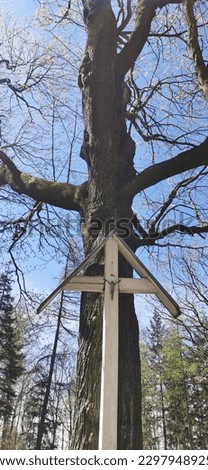 Cross in Polish mountains and tree behind