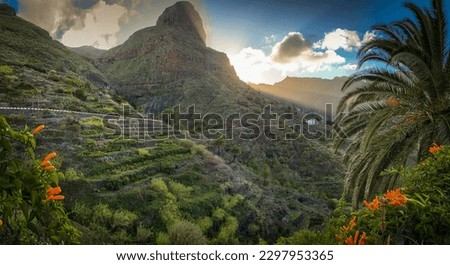 Early morning in Masca valley, Tenerife, Spain - High  Repolution Panoramic Image Royalty-Free Stock Photo #2297953365