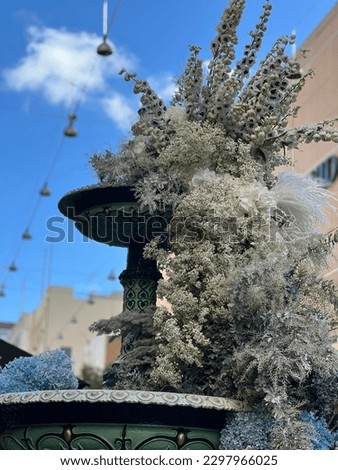 Faint colour flowers place in water fountain with blue sky