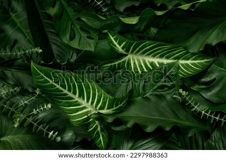 Abstract green leaves nature texture background. Creative layout for design
