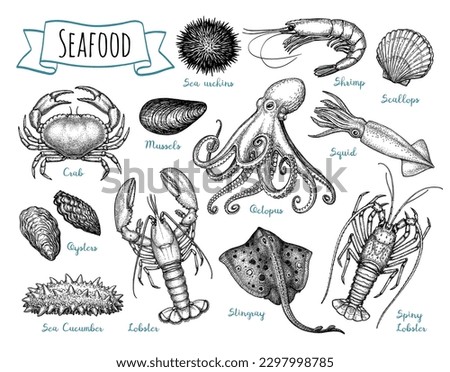 Seafood set. Ink sketch isolated on white background. Hand drawn vector illustration. Retro style.