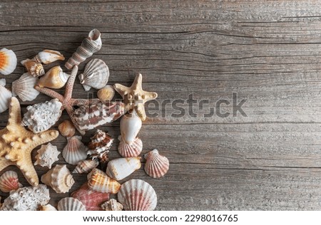 Starfish and shells on wooden boards. There is space for text.