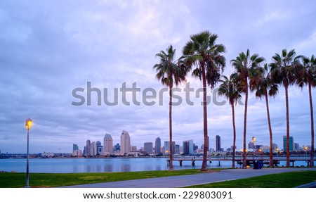 Downtown City View and Palm Trees Panorama, Coronado Island of San Diego, California, USA