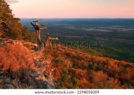 A scenic shot of Hawksbill Crag(Whitaker Point) in Newton County, Arkansas at pinky sunset Royalty-Free Stock Photo #2298058209