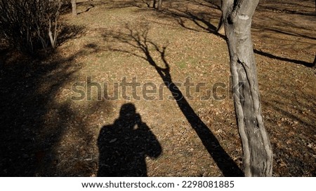 The shadow of the man taking the picture
