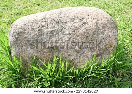 Natural background. Big stone in a birch grove