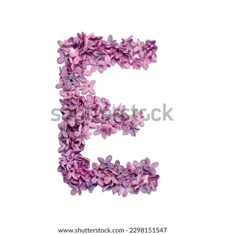 The letter E made of lilac flowers.  Square photo with white background.