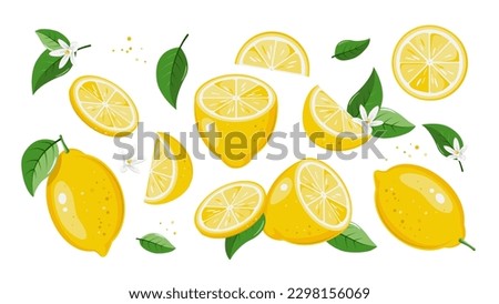Lemon collection. Tropical set with yellow lemons and lemon slices.
Vector illustration isolated on white background  Royalty-Free Stock Photo #2298156069