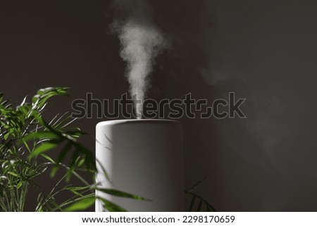 Air purifier and humidifier releases strong stream of cold steam close green houseplant. Care and hydration of houseplants in dry air. Healthy lifestyle concept. Fresh air, cleaning and removing dust. Royalty-Free Stock Photo #2298170659