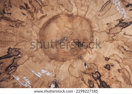 Wooden sawn wood with a pronounced pattern of annual rings under epoxy resin. Brown wood texture with wood rings with space to copy. High quality photo Royalty-Free Stock Photo #2298227185