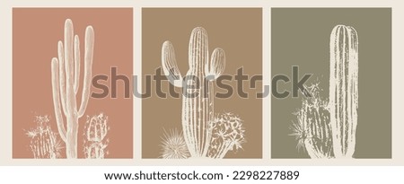 Desert Cactus Boho Earthy Warm Colors Minimalist Vector Illustration Set of 3 Royalty-Free Stock Photo #2298227889