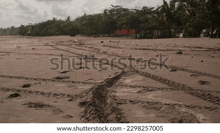 Wheel tracks of vehicles imprinted on the sand of the beach