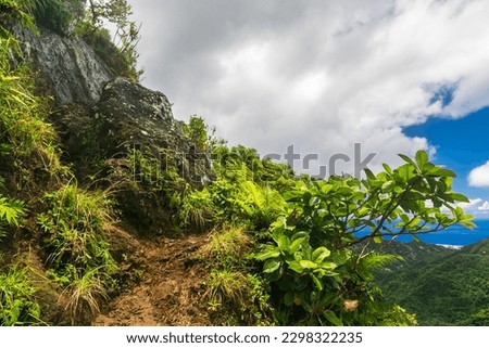 View from the rock to the blue ocean. Cross island hike, Te Rua Manga. Cook Islands, Rarotonga. 