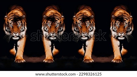 group of beautiful tiger animal