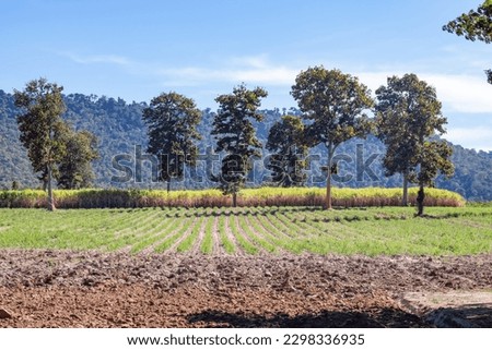 Farming in the provinces near the mountains Royalty-Free Stock Photo #2298336935