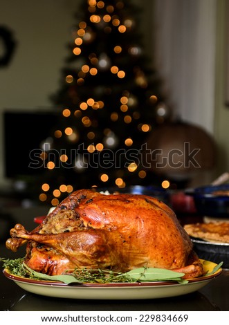 Traditional thanksgiving turkey