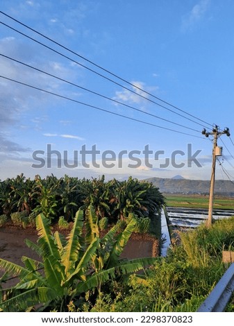 Banana plantation beside the road with Mount Sindoro and Sumbing Mountain in the morning