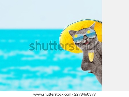 Funny cat wearing summer hat and mirrored sunglasses holds glass of champagne and looks from behind empty white banner