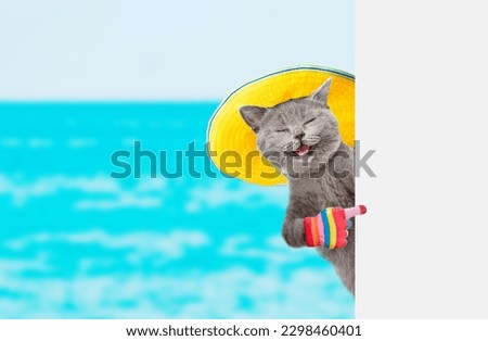 Happy cat wearing summer hat  looks from behind empty white banner and points away on empty space. isolated on white background