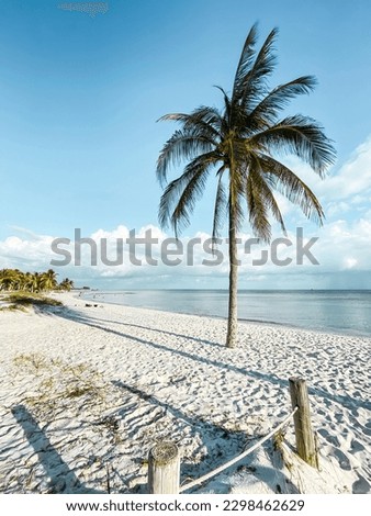 Scenic view of Smathers Beach, Key West, Florida, USA on a beautiful day at sunset against blue sky with clouds