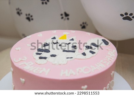 cat's birthday, cake for a cat, photo zone for 1 year