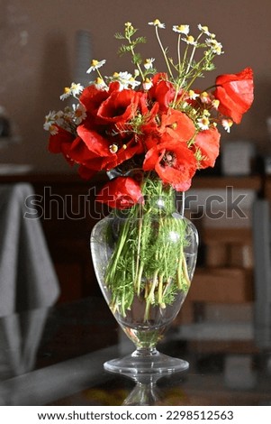 Pure beauty in a vase - these vibrant red poppies represent more than just their stunning color. 