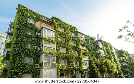 Green building with plants growing on the facade. Ecology and green living in city. Eco-building covered with ivy (green wall or bio-wall). Ecological vertical forest.