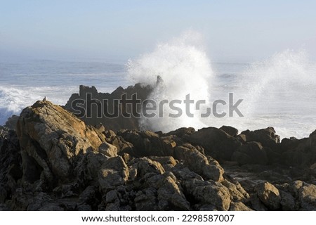 Big wave against little Cape of Labruge in the north of Portugal