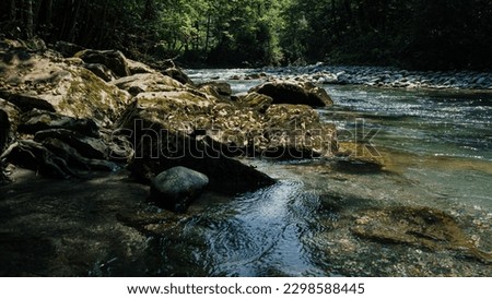 wide and close up photography of river sport old structures, water stream, rock, moss, tree, reflection, leaf, light, waterfall, winter and summer