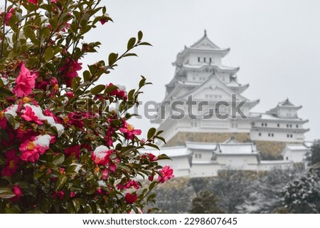 Snow-covered Himeji Castle, a World Heritage Site Royalty-Free Stock Photo #2298607645