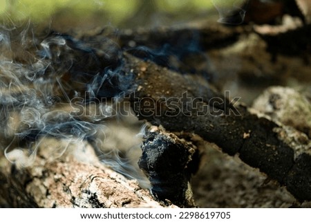 Smoke from a fire in the forest.
Smoldering coals and firewood in smoke on a blurred background. Ashes in the barbecue