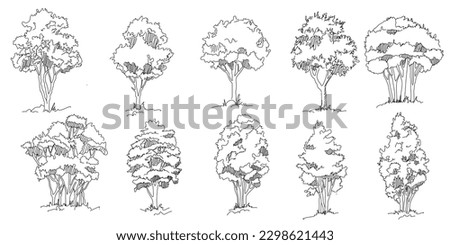 Set of hand drawn architect trees. Tree Sketch Architectural illustration landscape
