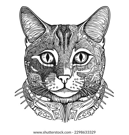 A simple drawing of a cat head. isolated background, vector illustration, label, sticker, t-shirt printing