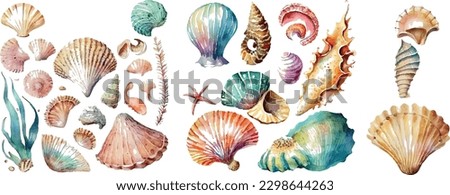 Set of different sea shells, corals and starfishes. Watercolor vector illustration