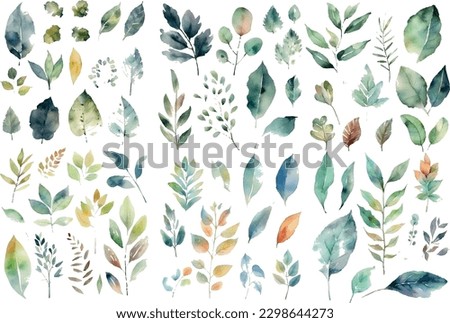 Vector watercolor leaves set. Wedding concept - leaves. Floral poster, invitation. Vector arrangements for greeting cards or invitations